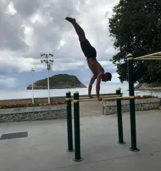 aparatos calistenia entrenamiento street workout 900x1000 1