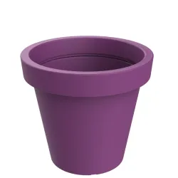 P 1017 1200 LILA.webp