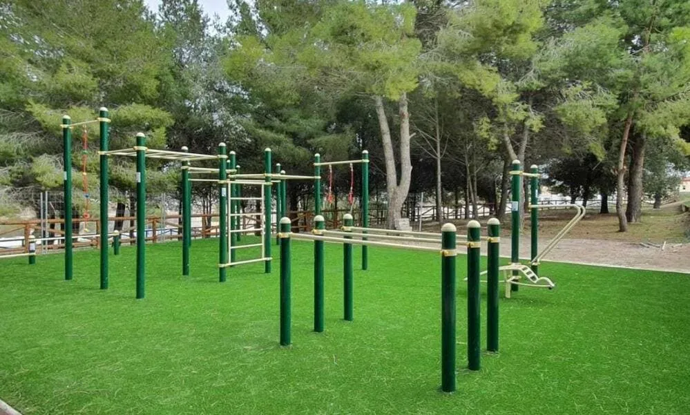 foto calisthenics park DUCG 2003 xxl